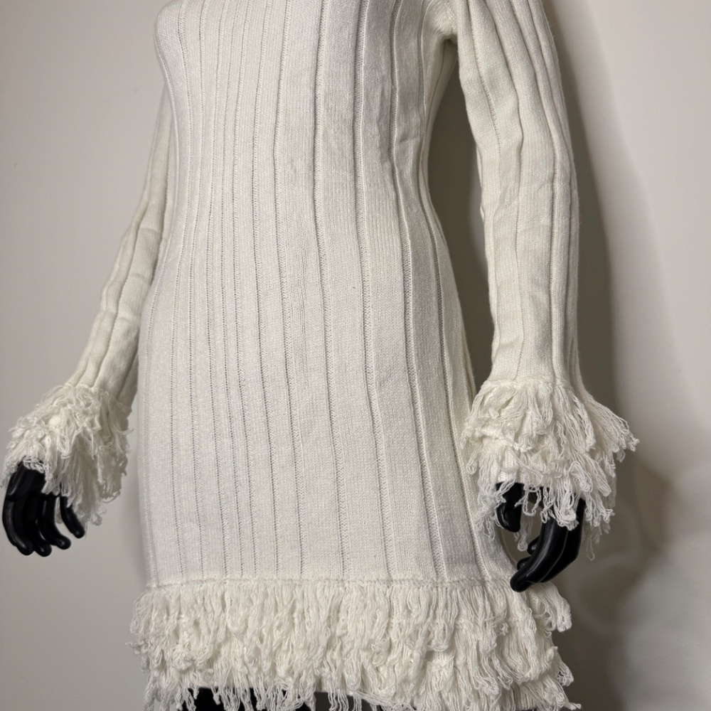 MISSGUIDED Ribbed Knit Mini Dress With Fringe Winter Long Sleeve Turtleneck - Picture 4 of 7